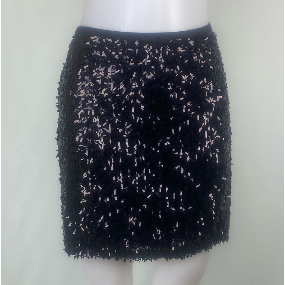 Ann Taylor Petite Sequin Skirt-size 8P